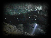 163 Breakdown in shaft